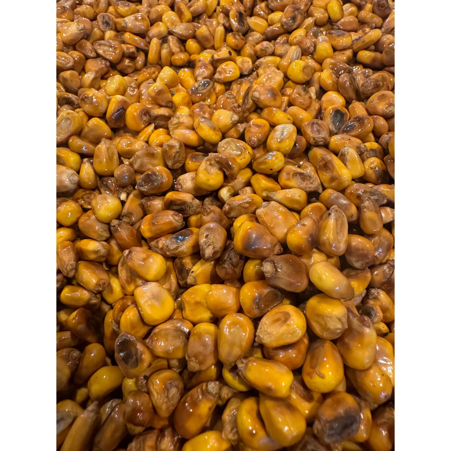 Maiz Tostado / Toasted Corn Nuts